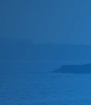 Account Generation: Set Up a Campaign that Converts in 6 Steps