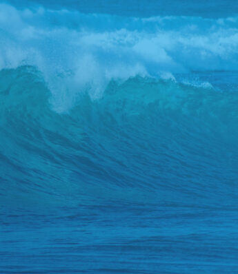 Leveraging SEO to Boost Conversions