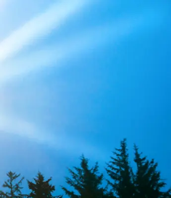 Discoverability-to-Revenue: Building Trust in  an AI-Enabled Era